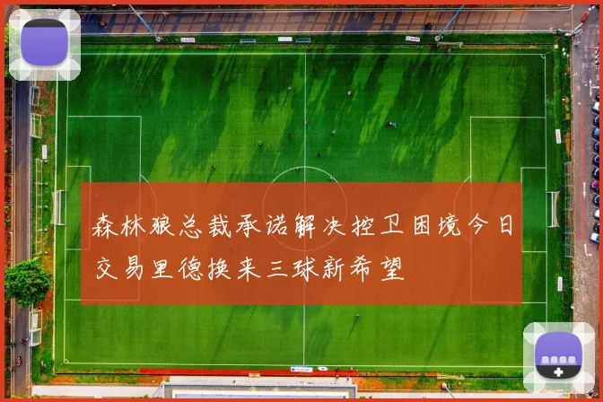 森林狼总裁承诺解决控卫困境今日交易里德换来三球新希望